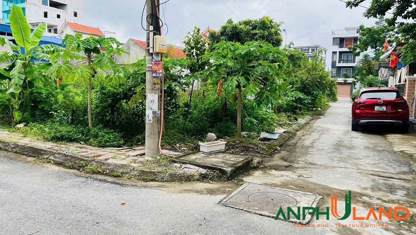 Chào bán lô đất TĐC Bấc Vang, phường Thuỷ Nguyên (Dương Quan), TP Hải Phòng