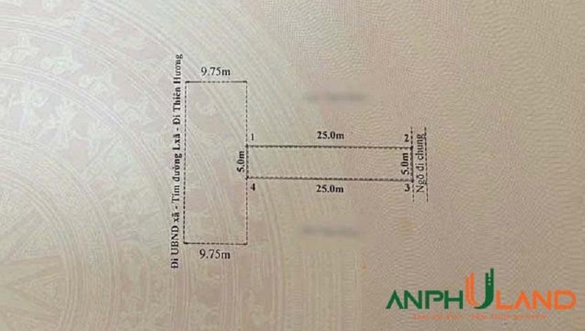 Bán siêu phẩm mặt đường 203 phường Thiên Hương (Lâm Động), TP Hải Phòng