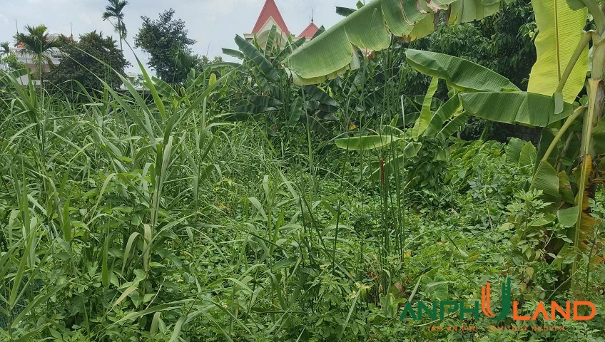 Bán nhanh lô đất 127m² tại phường Thuỷ Nguyên (Hoa Động), TP Hải Phòng 