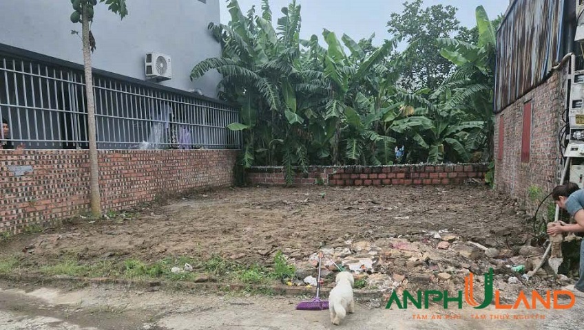 Chào bán lô đất tại TDP Đông, phường Thiên Hương (Lâm Động), TP Hải Phòng