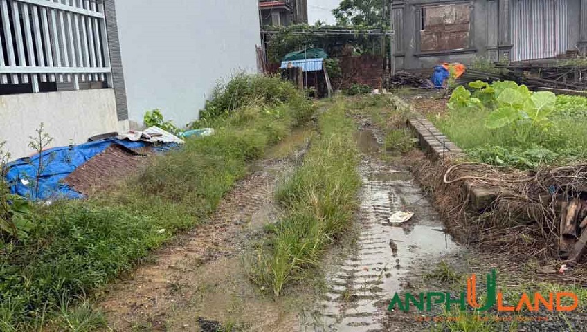 Đầu tháng ra hàng lô đất đẹp, tại Phường Thủy Nguyên ( xã Hoa Động), TP Hải Phòng