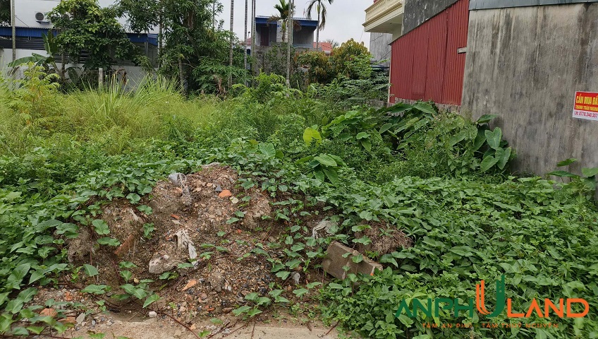 Bán lô đất siêu đẹp tại phường Thuỷ Nguyên (Tân Dương), TP Hải Phòng