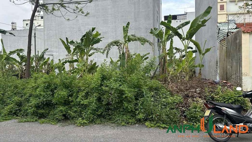 Cần bán lô biệt thự khu Đầm Tràng, Phường Thủy Nguyên ( xã Tân Dương), TP Hải Phòng
