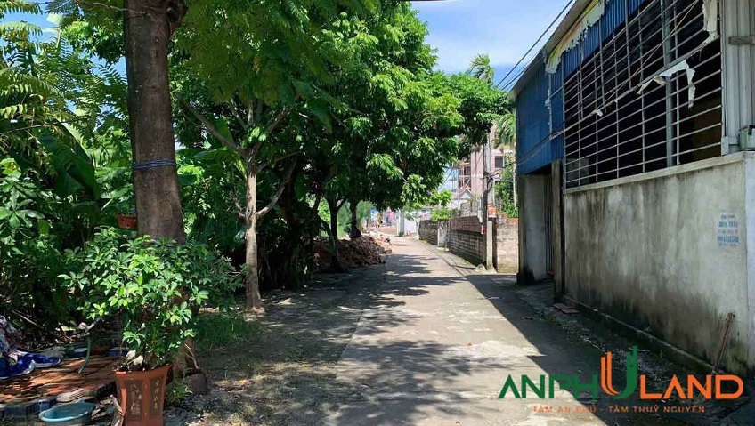 Cần bán siêu phẩm đường gom Máng Nước, TDP Tây, phường Thủy Nguyên, TP Hải Phòng