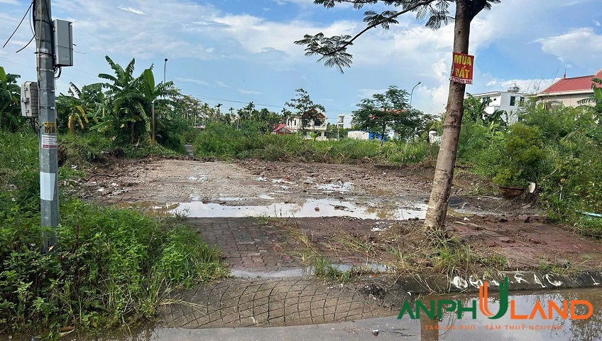 Bán lô đất tái định cư khu D Bắc Sông Cấm, phường Thuỷ Nguyên, TP Hải Phòng
