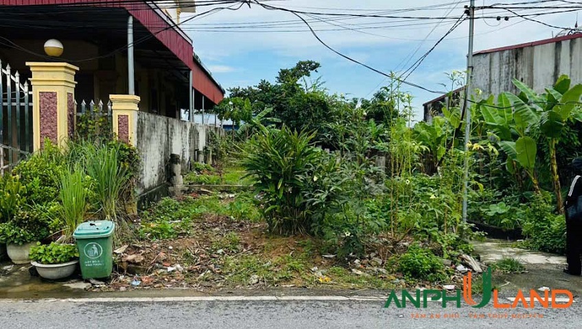 Bán lô đất mặt đường TDP Đồng Họ, phường Lưu Kiếm (Kênh Giang), TP Hải Phòng 