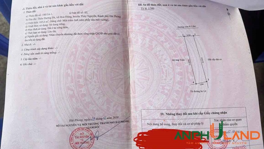 Hàng cực hiếm tại TDP Đường Đá, Phường Thủy Nguyên ( xã Hoa Động), TP Hải Phòng