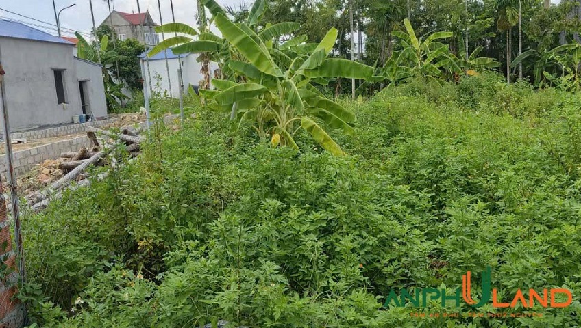 Bán nhanh lô đất mặt đường phường Lưu Kiếm (Đông Sơn), TP Hải Phòng