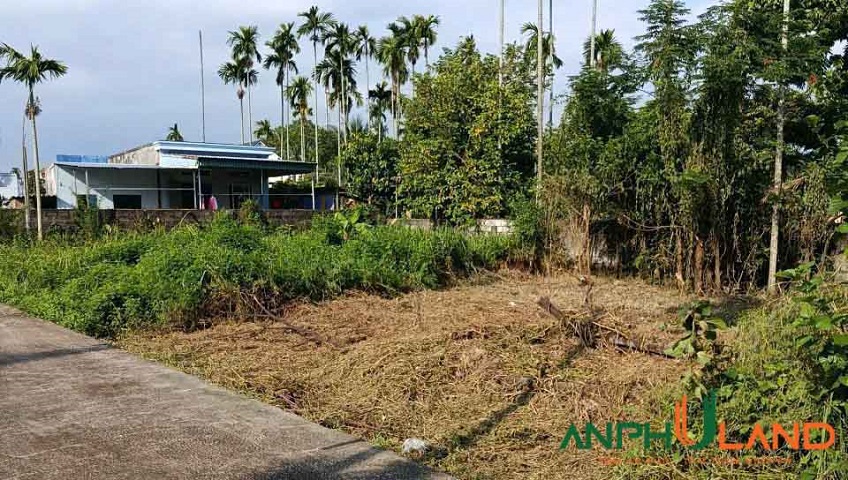 Cần bán lô đất hàng hiếm tại TDP Hầu, Phường Thiên Hương ( xã Lâm Động), TP Hải Phòng
