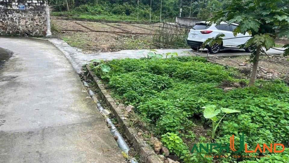 Tài chính hơn 1 tỷ 1xx tìm đâu ra lô đất 72,5m2 tại trung tâm phường Hoà Bình, TP Hải Phòng