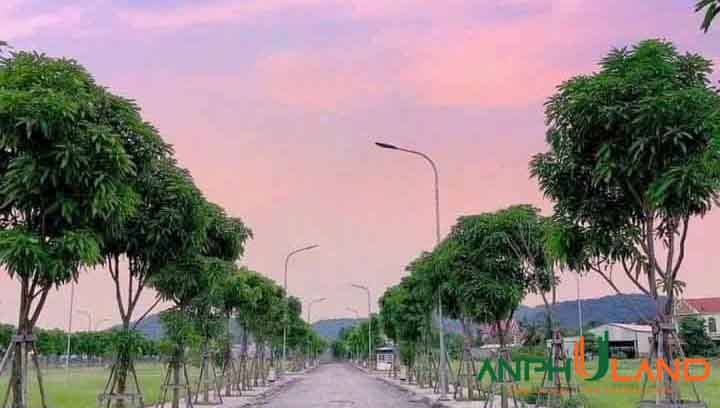 Chính chủ cần bán 1 lô 75 m2 Tân Quang Minh, P. Thủy Nguyên ( xã Thủy Sơn), TP Hải Phòng