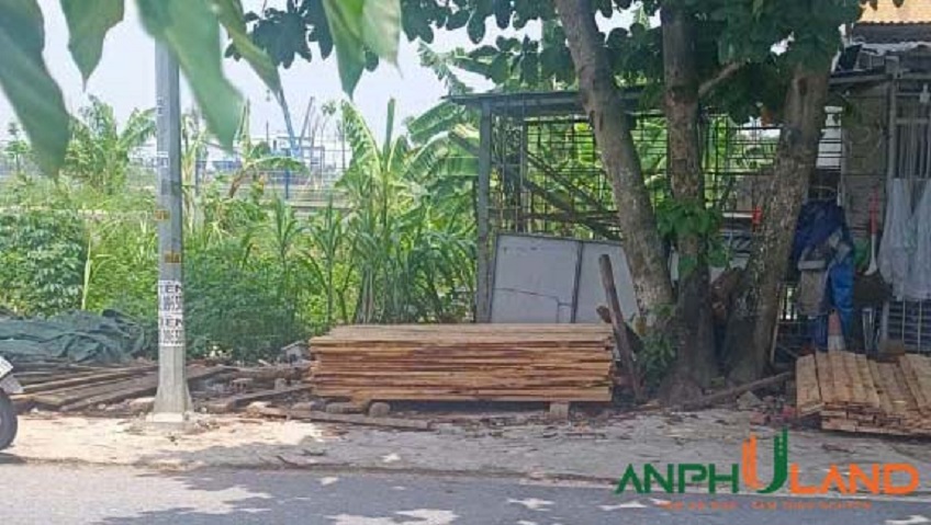 Chính chủ gửi bán lô đất mặt đường 203 phường Thiên Hương (Lâm Động), TP Hải Phòng