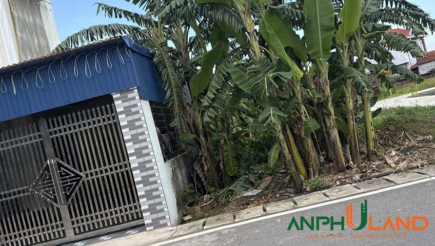 Chính chủ bán lô đất đẹp TDP Sú 1, phường Thiên Hương, TP Hải Phòng 