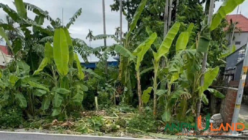 Bán lô đất 79.2m² TDP Đông, phường Thiên Hương (Lâm Động), TP Hải Phòng
