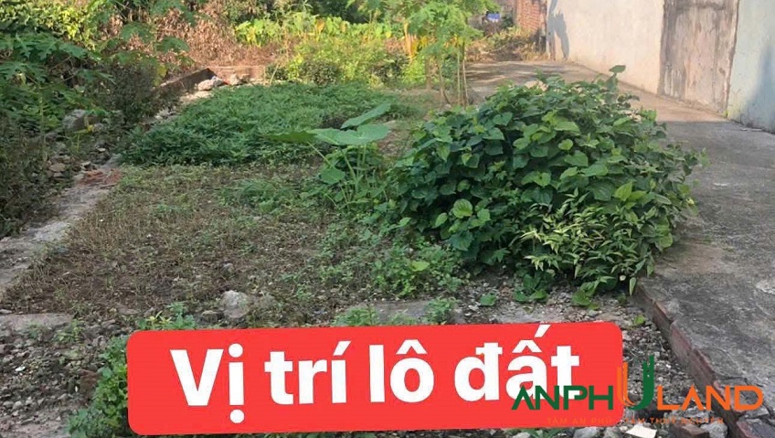 Bán lô góc ngay gần đường TL359 phường Thuỷ Nguyên (Tân Dương), TP Hải Phòng