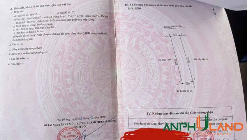 Hàng cực Hiếm tại TDP Đường Đá, Phường Thủy Nguyên ( xã Hoa Động), TP Hải Phòng