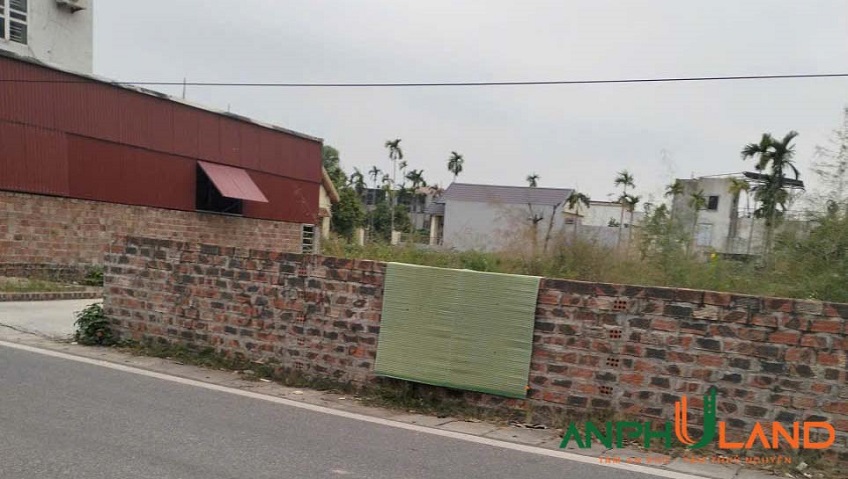 Bán lô góc mặt đường 203 phường Thiên Hương (Lâm Động), TP Hải Phòng