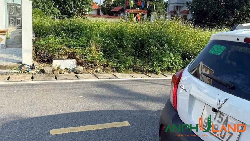 Chính chủ gửi bán lô đất mặt đường Phường Thiên Hương ( xã Lâm Động), TP Hải Phòng