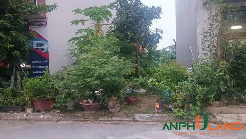 Cần bán lô đất TĐC khu D, Bắc Sông Cấm, Phường Thủy Nguyên, TP Hải Phòng