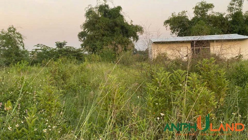 Chính chủ gửi bán lô đất mặt đường đò Lâm, phường Thiên Hương, TP Hải Phòng