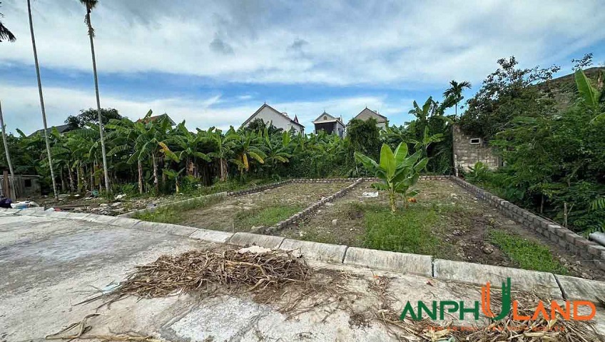 Chào bán hai siêu phẩm TDP Chùa, Phường Thủy Nguyên ( xã Hoa Động), TP Hải Phòng