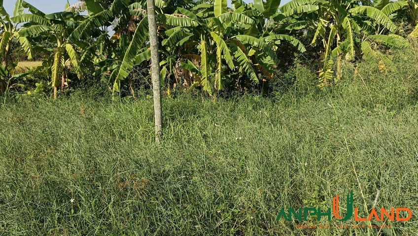 Bán lô đất giá rẻ nhất phường Thuỷ Nguyên (Hoa Động), TP Hải Phòng