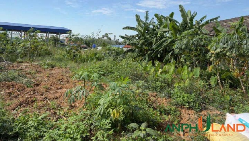 Chính chủ gửi bán lô đất 2 mặt tiền tại phường Lưu Kiếm, TP Hải Phòng