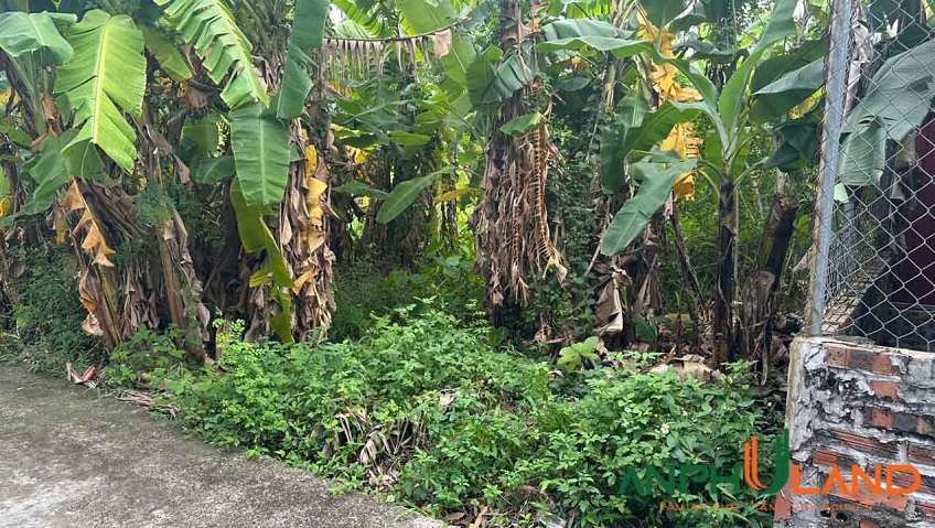 Cần bán lô đất tại phường Thiên Hương ( xã Lâm Động), TP Hải Phòng