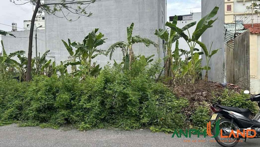 Cần bán lô đất khu Đầm Tràng, Phường Thủy Nguyên (xã Tân Dương), TP Hải Phòng