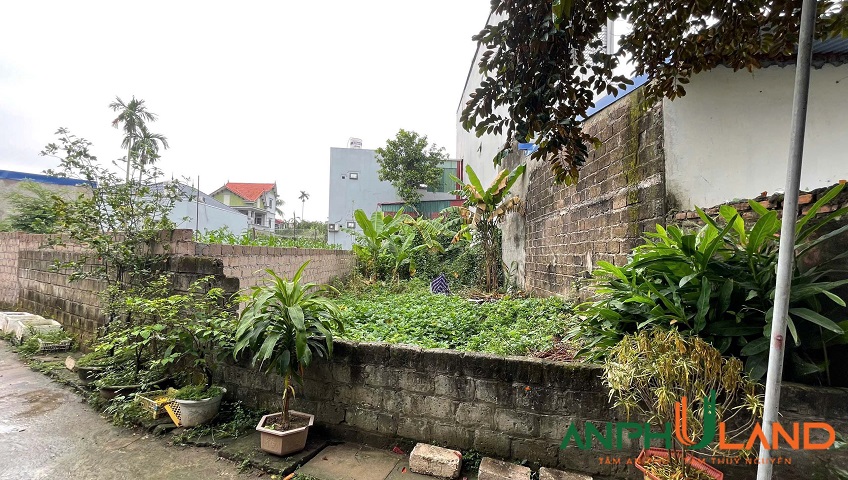 Chính chủ gửi bán lô đất ngõ thông tại phường Thuỷ Nguyên (Hoa Động), TP Hải Phòng