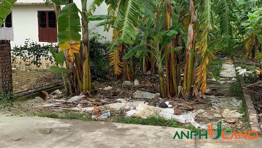  Chào bán lô đất rẻ nhất TDP Hầu, phường Thiên Hương (Lâm Động), TP Hải Phòng 