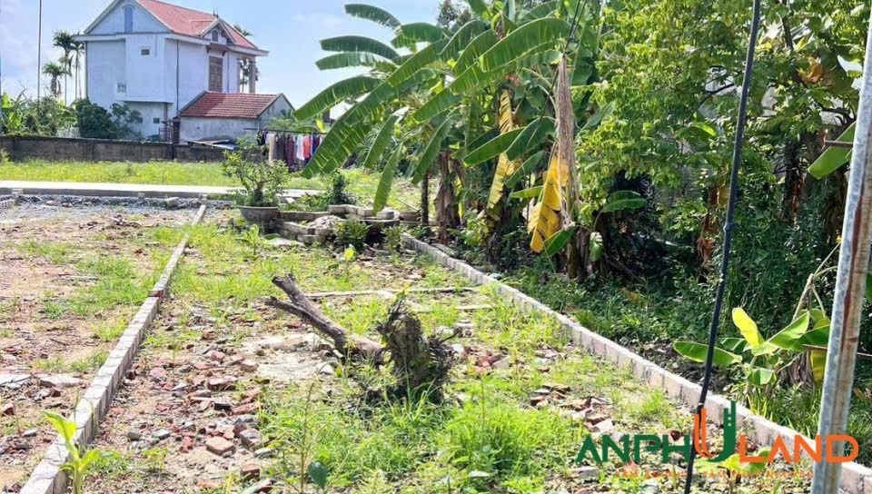 Bán lô đất hàng hiếm phường Thiên Hương (Lâm Động), TP Hải Phòng