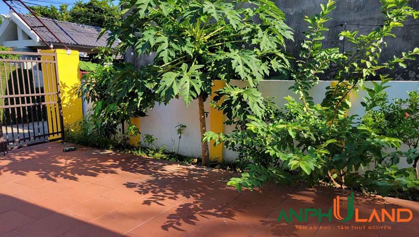  Chào bán căn nhà vườn view Sông Giá, Full bìa đỏ, tại P. Bạch Đằng ( xã Minh Tân), TP Hải Phòng