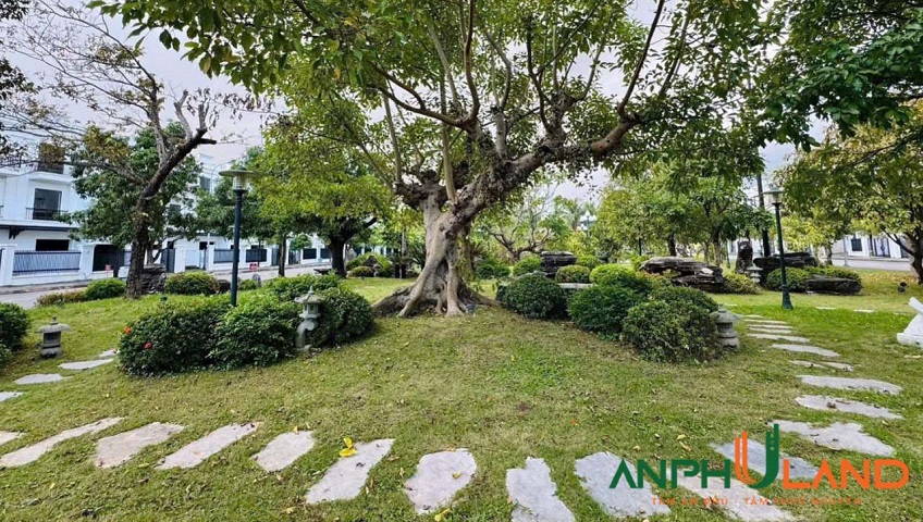 Bán lô đất giá rẻ KĐT Quang Minh trung tâm phường Thuỷ Nguyên, TP Hải Phòng