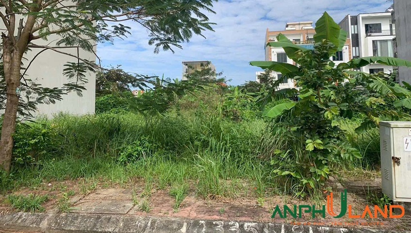 Chủ bán gấp - Giá rẻ hơn thị trường 500 triệu tại Khu C - TĐC Bắc Sông Cấm, TP Hải Phòng