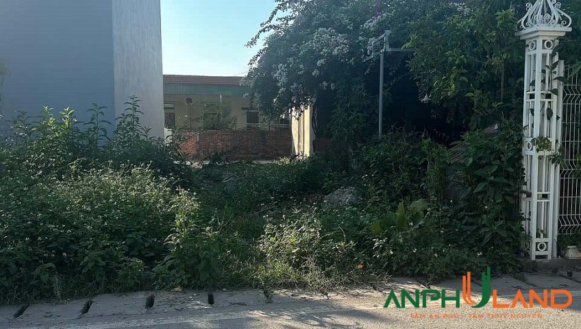 Chào bán lô mặt đường trải nhựa tại TDP Đồng Quán, phường Thuỷ Nguyên, TP Hải Phòng