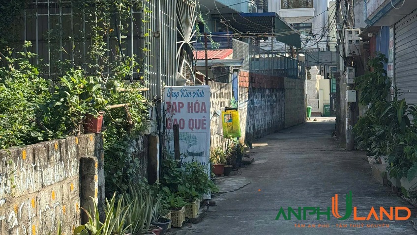 Chủ cần bán gấp 2 lô đất siêu đẹp tại trung tâm phường Thuỷ Nguyên (Dương Quan), TP Hải Phòng