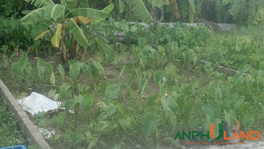 Em gái cần tiền gửi bán gấp lô đất đẹp tại TDP 2, phường Thiên Hương, TP Hải Phòng