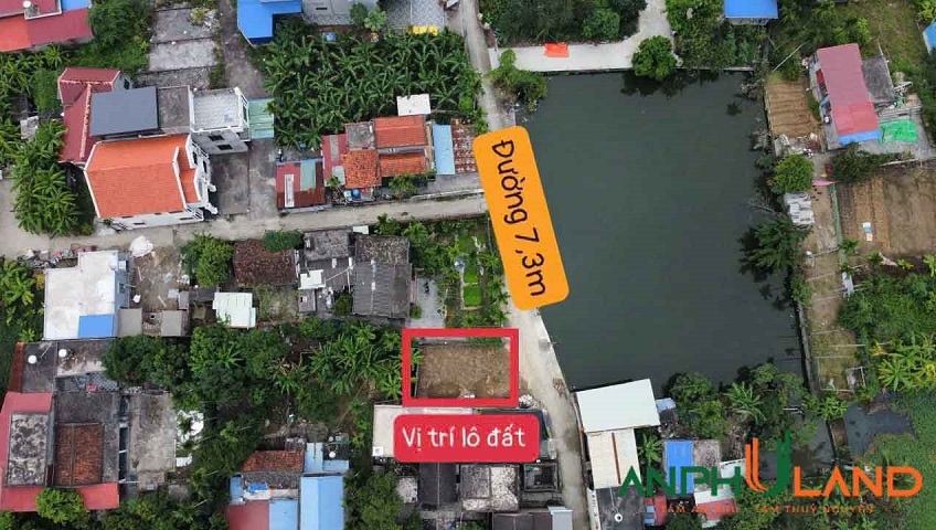 Sản phẩm Cực Hiếm tại Phường Thuỷ Nguyên ( xã Hoa Động), TP Hải Phòng