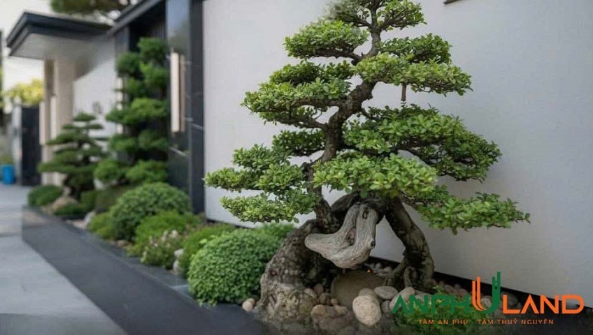 Bán lô đất biệt thự Áp Tràn thuộc TĐC Bắc Sông Cấm, phường Thuỷ Nguyên, TP Hải Phòng