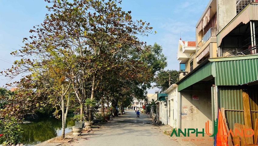 Chuyển nhượng lô đất 125m2 TDP Đền, Phường Thiên Hương ( xã Lâm Động), TP Hải Phòng