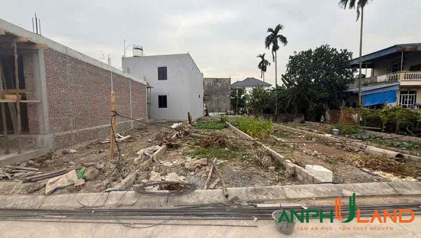 Sản phẩm cực đẹp tại TDP Chùa, Phường Thủy Nguyên ( xã Hoa Động), TP Hải Phòng