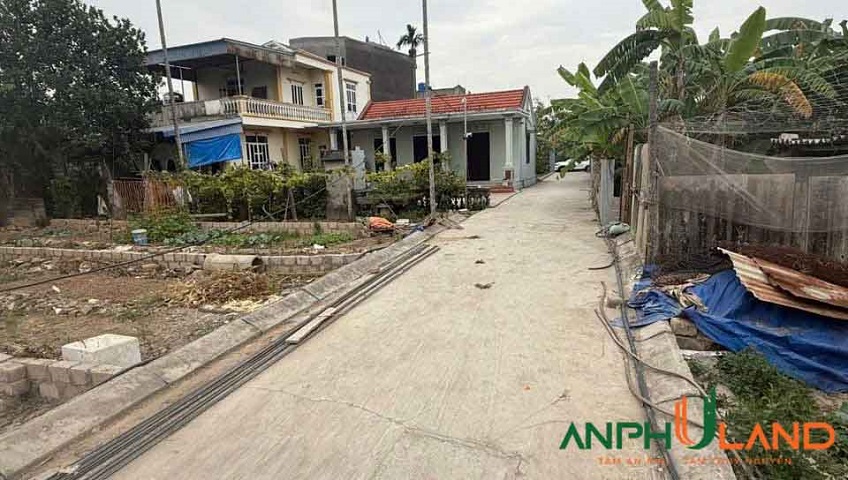 Sản phẩm cực đẹp tại TDP Chùa, Phường Thủy Nguyên ( xã Hoa Động), TP Hải Phòng