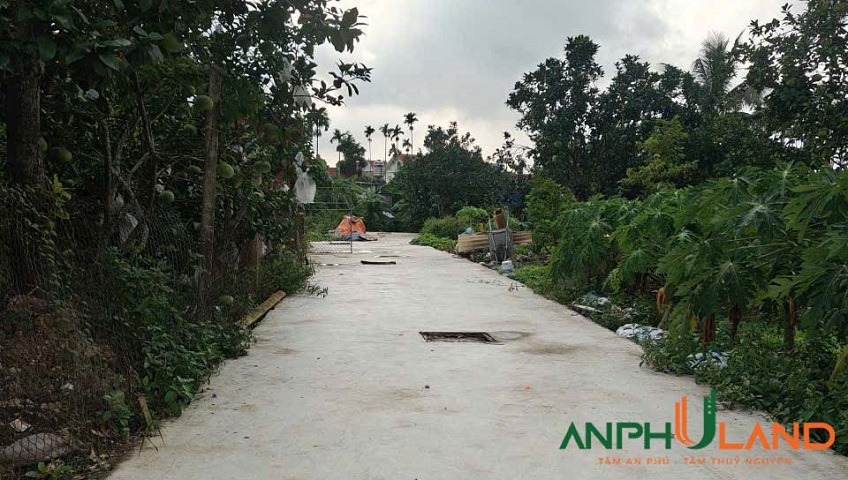 Gia đình cần bán lô đất phường Thiên Hương (Lâm Động), TP Hải Phòng