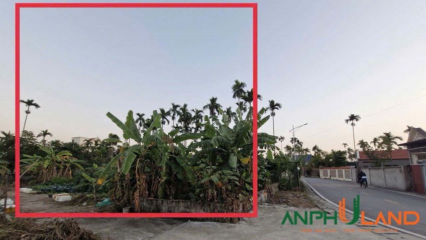 Bán gấp lô hoa hậu tại phường Thiên Hương (Lâm Động), TP Hải Phòng