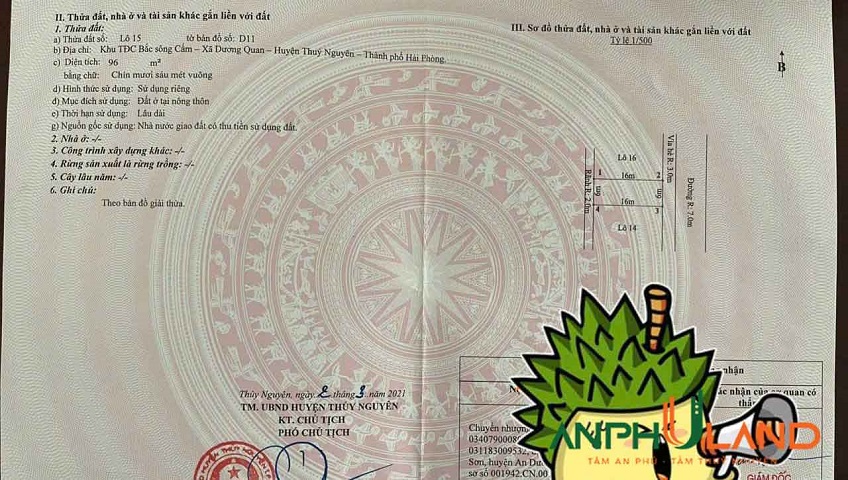 Cần tiền xây nhà lên bán đất phường Thủy Nguyên ( xã Dương Quan), TP Hải Phòng