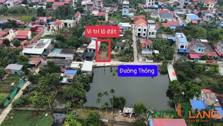 Sản phẩm cực hiếm tại Phường Thủy Nguyên ( xã Hoa Động), TP Hải Phòng