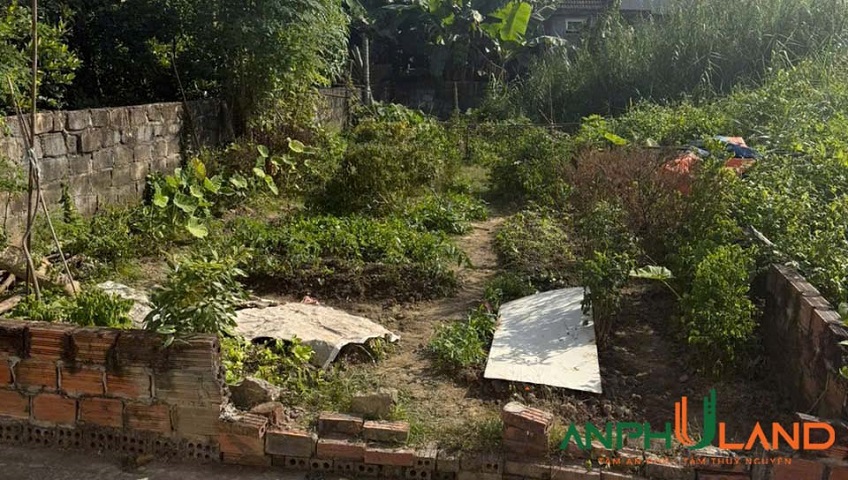 Chủ cần thanh khoản gấp lô đất TDP Hầu, phường Thiên Hương (Lâm Động), TP Hải Phòng