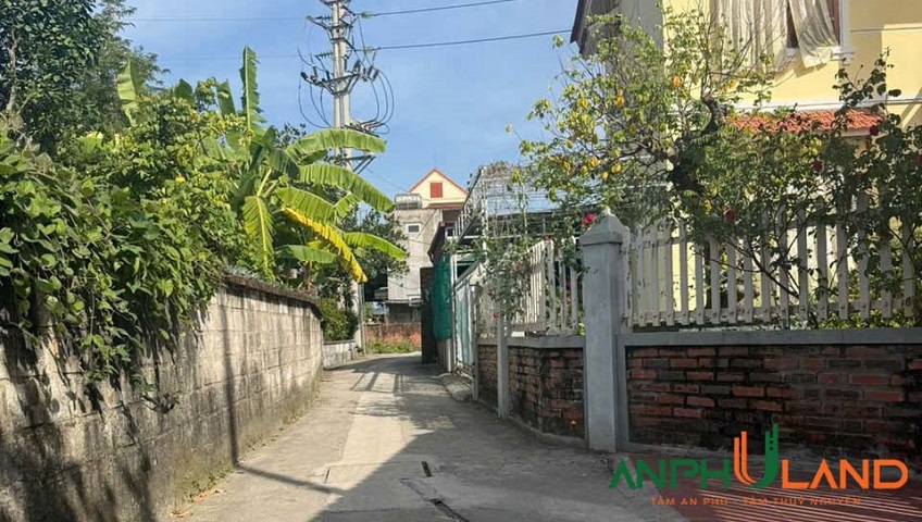 Chủ cần thanh khoản gấp lô đất TDP Hầu, phường Thiên Hương (Lâm Động), TP Hải Phòng