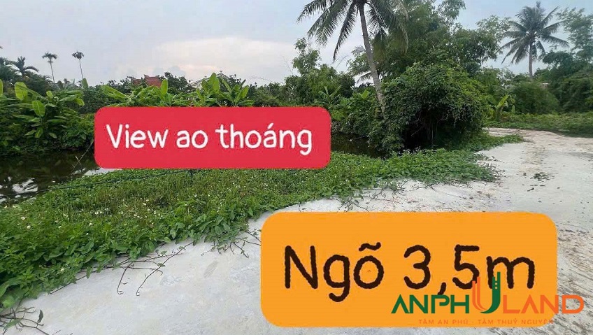 Bán lô đất đẹp tại TDP Đông, phường Thiên Hương (Lâm Động), TP Hải Phòng